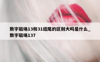 数字磁场 13 和 31 结尾的区别大吗是什么_数字磁场 137