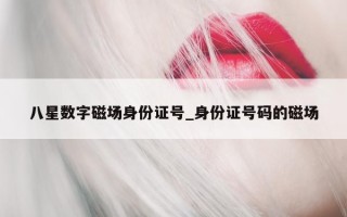 八星数字磁场身份证号_身份证号码的磁场