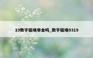 19 数字磁场带金吗_数字磁场 9319