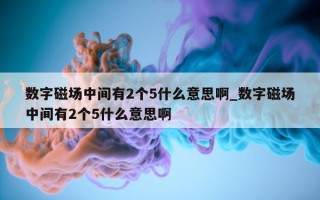 数字磁场中间有 2 个 5 什么意思啊_数字磁场中间有 2 个 5 什么意思啊