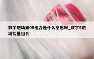 数字磁场里 05 组合是什么意思呀_数字 5 磁场能量组合