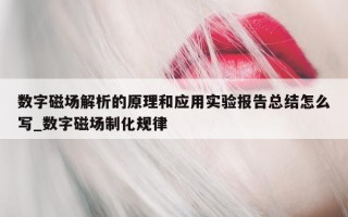 数字磁场解析的原理和应用实验报告总结怎么写_数字磁场制化规律