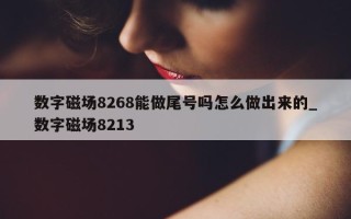 数字磁场 8268 能做尾号吗怎么做出来的_数字磁场 8213