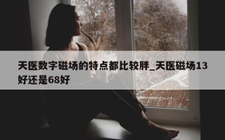 天医数字磁场的特点都比较胖_天医磁场 13 好还是 68 好