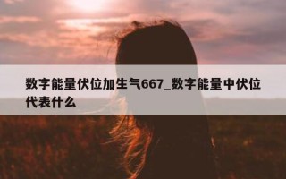 数字能量伏位加生气 667_数字能量中伏位代表什么