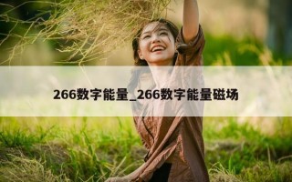 266 数字能量_266 数字能量磁场