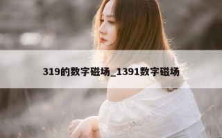 319的数字磁场_1391数字磁场