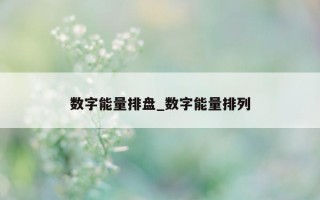 数字能量排盘_数字能量排列