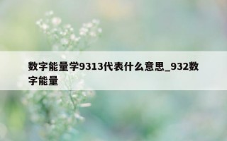 数字能量学 9313 代表什么意思_932 数字能量