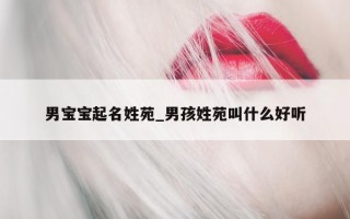 男宝宝起名姓苑_男孩姓苑叫什么好听