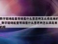 数字磁场能量等级是什么意思啊怎么读出来的_数字磁场能量等级是什么意思啊怎么读出来的呀