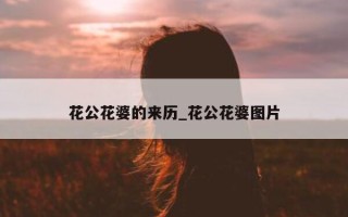 花公花婆的来历_花公花婆图片