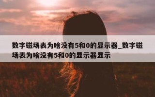 数字磁场表为啥没有 5 和 0 的显示器_数字磁场表为啥没有 5 和 0 的显示器显示