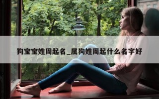 狗宝宝姓周起名_属狗姓周起什么名字好