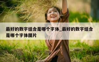 最好的数字组合是哪个字体_最好的数字组合是哪个字体图片