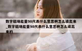 数字磁场能量 98 代表什么意思啊怎么读出来_数字磁场能量 98 代表什么意思啊怎么读出来的