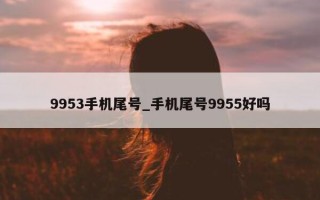 9953手机尾号_手机尾号9955好吗