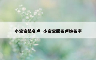 小宝宝起名卢_小宝宝起名卢姓名字