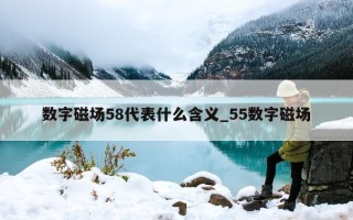 数字磁场 58 代表什么含义_55 数字磁场