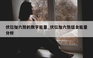 伏位加六煞的数字能量_伏位加六煞组合能量分析