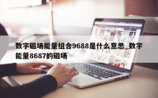 数字磁场能量组合 9688 是什么意思_数字能量 8687 的磁场