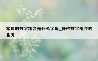 常用的数字组合是什么字母_各种数字组合的含义