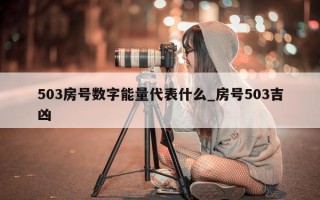 503 房号数字能量代表什么_房号 503 吉凶