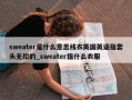 sweater是什么意思线衣英国英语指套头无扣的_sweater指什么衣服