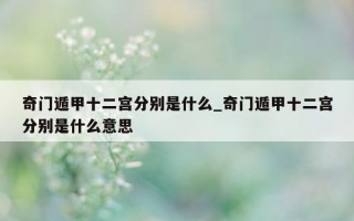 奇门遁甲十二宫分别是什么_奇门遁甲十二宫分别是什么意思