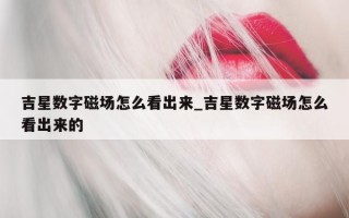 吉星数字磁场怎么看出来_吉星数字磁场怎么看出来的