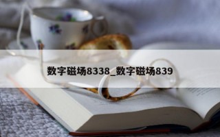 数字磁场 8338_数字磁场 839