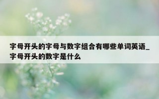 字母开头的字母与数字组合有哪些单词英语_字母开头的数字是什么