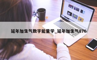 延年加生气数字能量学_延年加生气 876