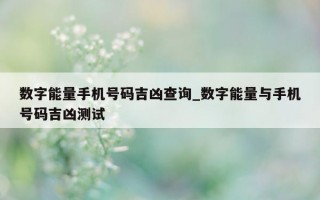 数字能量手机号码吉凶查询_数字能量与手机号码吉凶测试