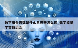 数字组合吉数是什么意思呀怎么读_数字能量学吉数组合