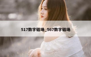 517 数字磁场_567 数字磁场