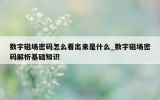 数字磁场密码怎么看出来是什么_数字磁场密码解析基础知识