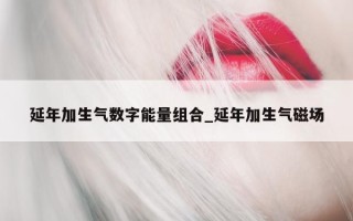 延年加生气数字能量组合_延年加生气磁场