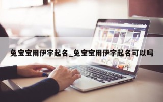 兔宝宝用伊字起名_兔宝宝用伊字起名可以吗