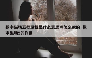 数字磁场五行属性是什么意思啊怎么读的_数字磁场 5 的作用