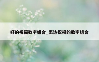 好的祝福数字组合_表达祝福的数字组合