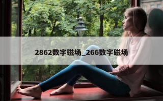 2862 数字磁场_266 数字磁场