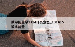 数字能量学 1314 什么意思_131415 数字能量