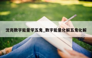 沈亮数字能量学五鬼_数字能量化解五鬼化解