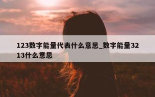 123 数字能量代表什么意思_数字能量 3213 什么意思