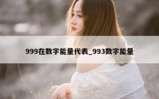 999 在数字能量代表_993 数字能量