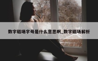 数字磁场字母是什么意思啊_数字磁场解析