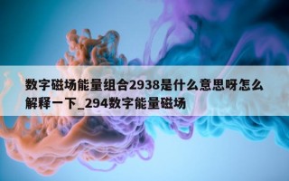 数字磁场能量组合 2938 是什么意思呀怎么解释一下_294 数字能量磁场