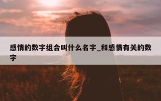 感情的数字组合叫什么名字_和感情有关的数字