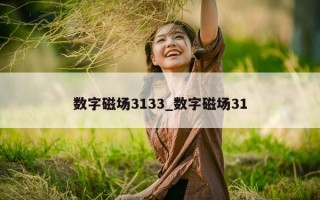 数字磁场 3133_数字磁场 31